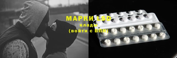 дурь Алзамай