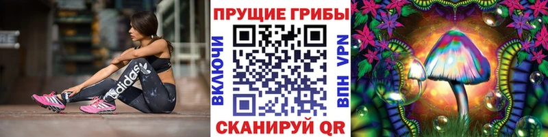 Галлюциногенные грибы Psilocybe  мега рабочий сайт  Пыталово  магазин  наркотиков 